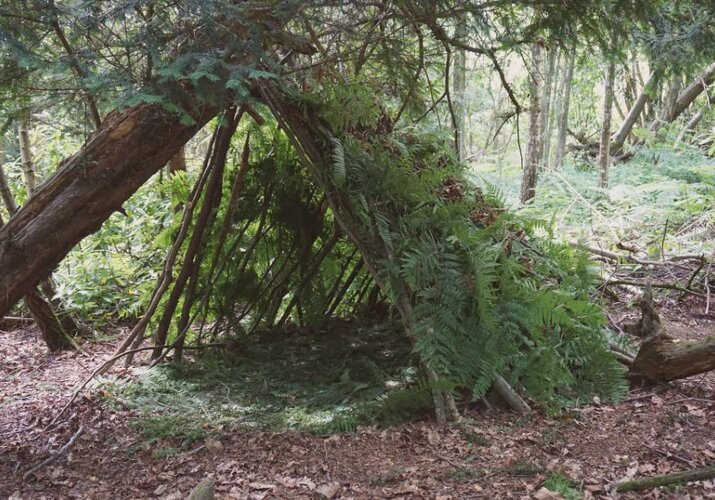 Návod, ako postaviť bunker v lese
